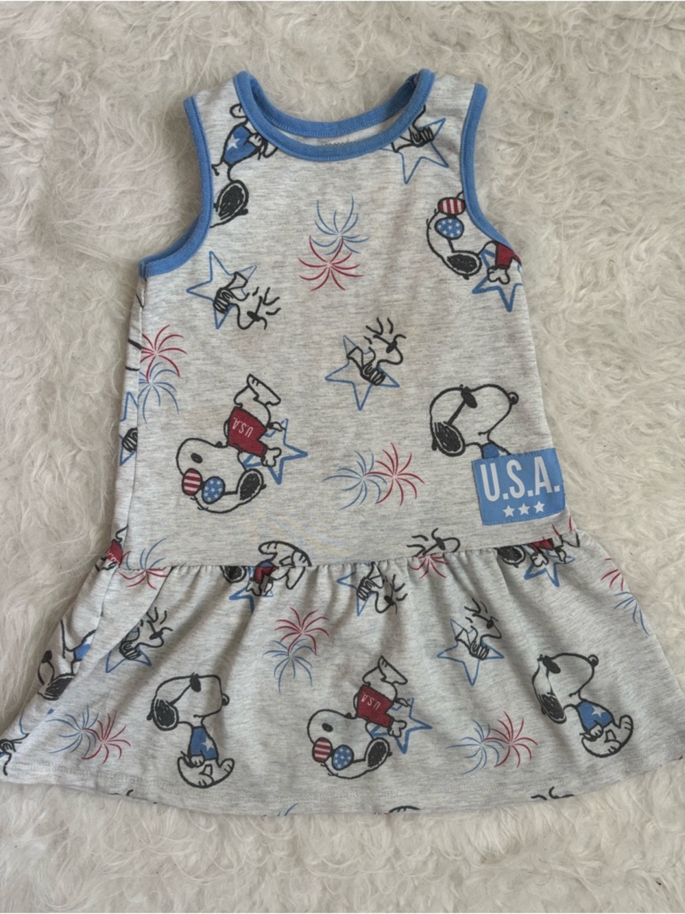 Peanuts Gray Festive Americana Snoopy Dress with Blue Trim